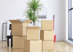 packers and movers