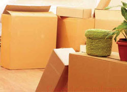 packers and movers